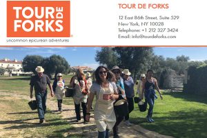 Tour de Forks Travel New York