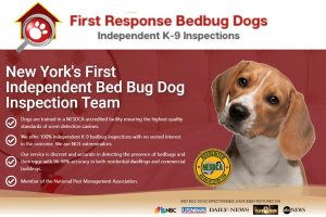 First Response Bedbug Dogs